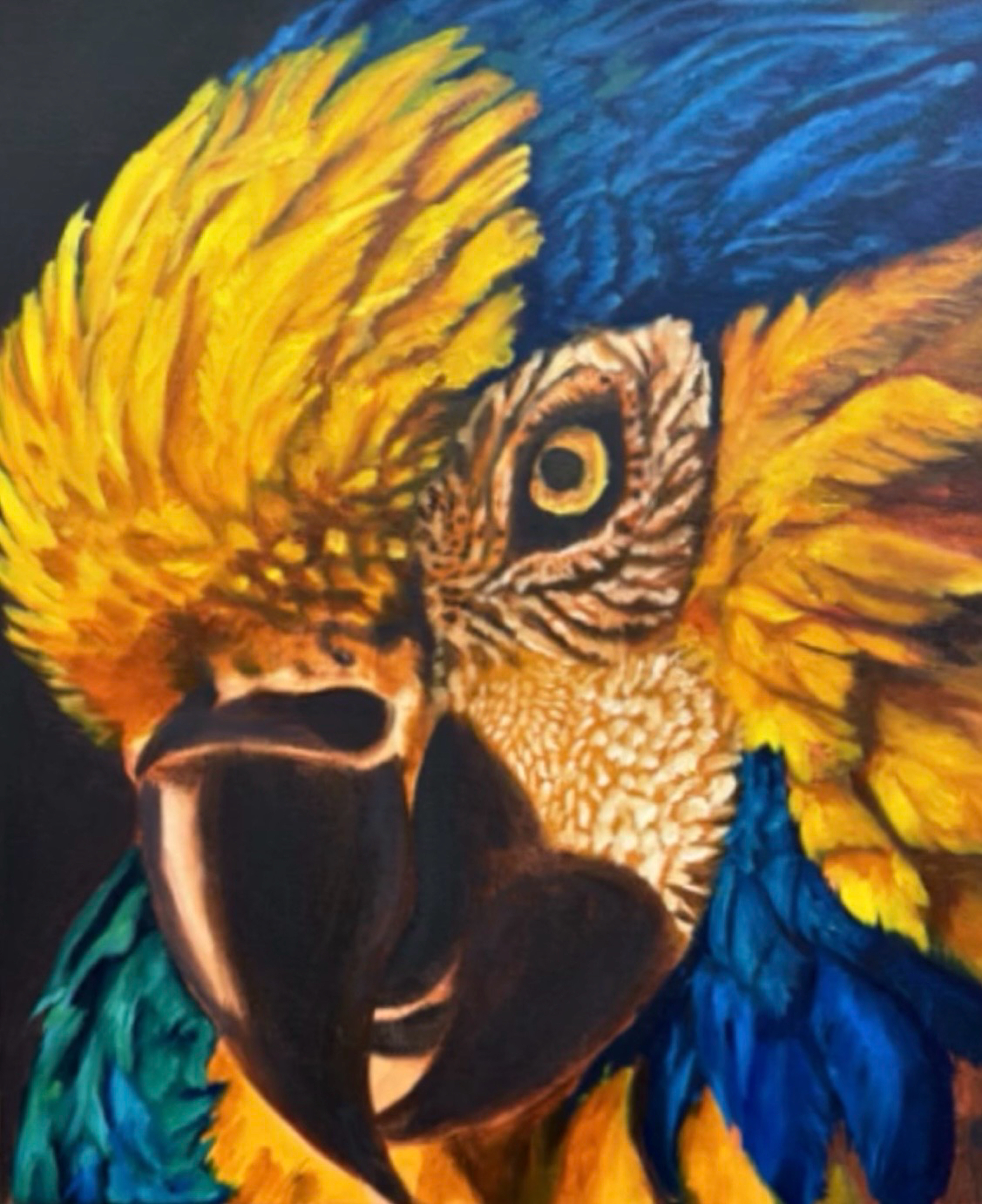 Macaw Study — oil on canvas by Bailey Alysse Visual Artist and Muralist, work in progress 2026